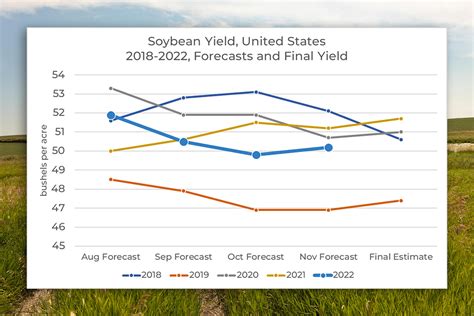 Soybean Price Forecast 2024 - Neda Tandie