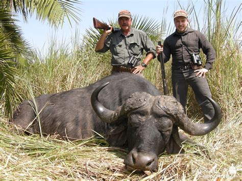 Buffalo Hunting | AfricaHunting.com