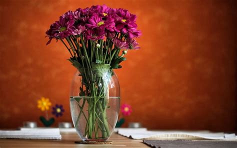 Still Life, vase, flowers, wonderful, HD wallpaper | Peakpx