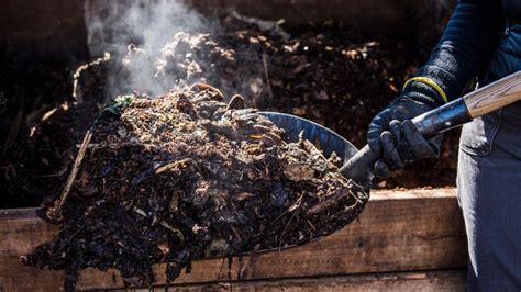 Guide to hot composting: how to get the best garden compost in just four weeks | Gardeningetc