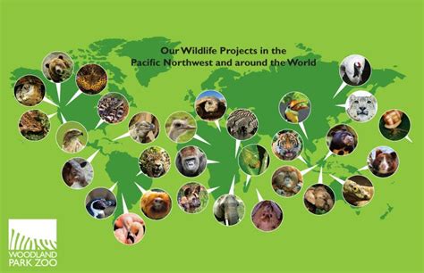 Woodland Park Zoo Blog: Voice your choice with Quarters for Conservation