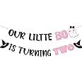 Amazon.com: Pink Our Little Boo is Turning Two Banner for Halloween Birthday Party Decorations ...