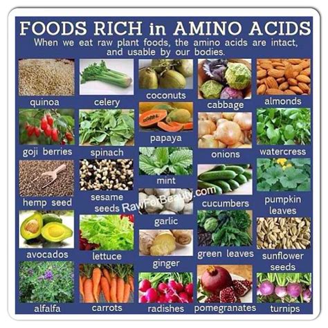 Foods rich in Amino Acids | Nutritious snacks, Amino acids food, Plant food