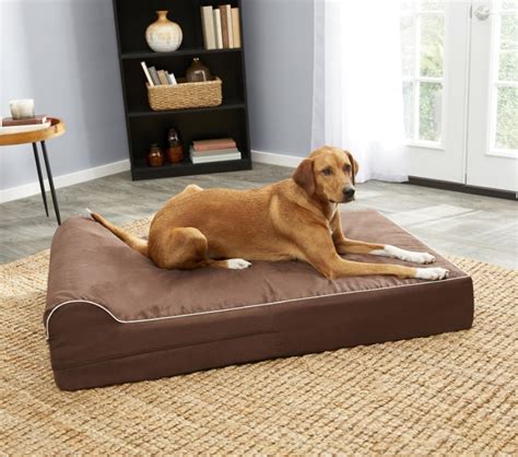 Best Orthopedic Dog Beds | Top Picks for Pup's Sleepy Time