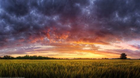 landscape, Field, Evening Wallpapers HD / Desktop and Mobile Backgrounds