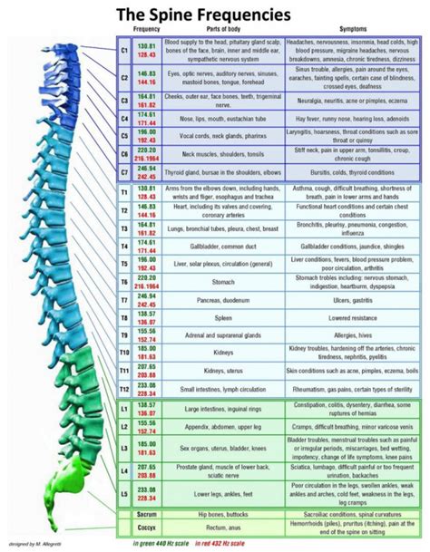 The_Spine_Frequencies-600x771 | Healing frequencies, Healing codes, Spine health