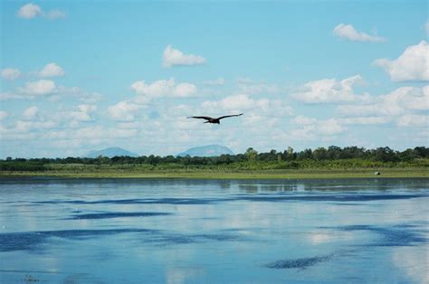 Hesaraghatta lake and grasslands | Best places to travel, Cool places to visit, One day trip