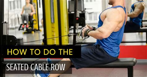 How to Do the Seated Cable Row Proper Form, Variations, and Common Mistakes, Workouts at fitking