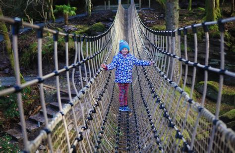 Ireland's longest rope bridge is opening in Kerry · TheJournal.ie