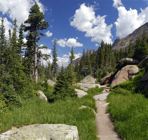 Hiking Trail In Colorado Rocky Mountains Stock Photo - Image: 10543010