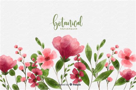 Free Vector | Watercolor botanical background