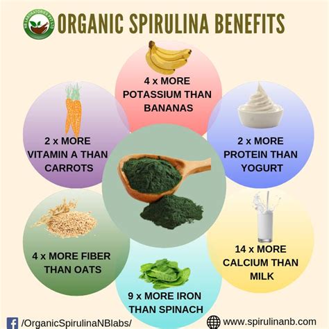 Organic Spirulina Benefits | Spirulina benefits, Nutrition ...