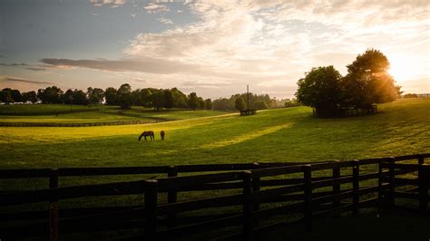 Lexington | Kentucky Bourbon