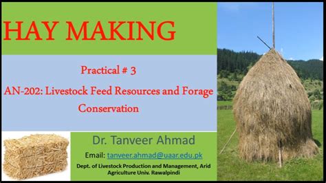 Hay Making-Practical-3 - YouTube