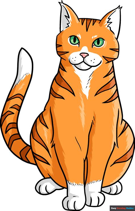 How to Draw an Orange Tabby Cat - Really Easy Drawing Tutorial | Orange ...