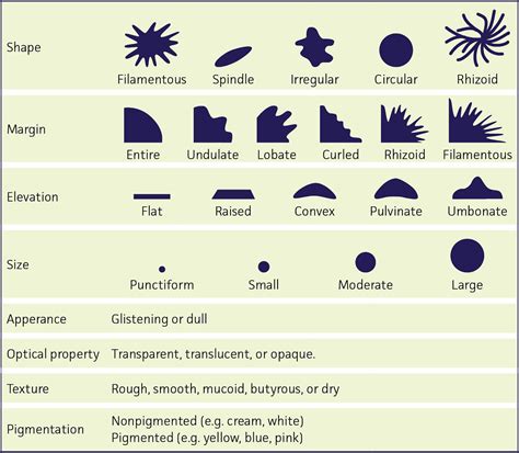 Introduction to Microbiology | ATCC