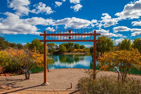 Sedona Women of Wisdom Yoga Retreat | The Daily Downward Dog