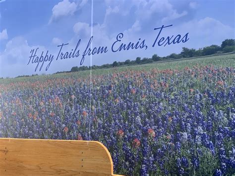 Bluebonnet Festivals in Texas to Visit With Family (Updated 2024) | Texas Travel Talk