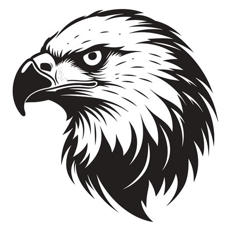 Beautiful Eagle Face Silhouette - Generative Ai 25073339 PNG