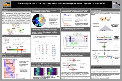 Graduate Cell and Molecular Biology Symposium Posters - Biological Sciences