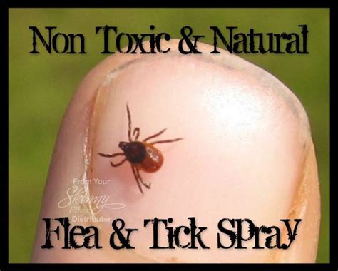 Flea & Tick Remedy 8 oz apple cider vinegar 4 oz warm water 1/2 tsp salt 1/2 tsp baking soda ...