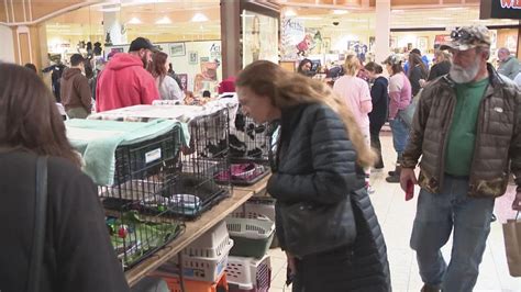 Thankful Fur Pets Expo event helps animals back into homes | wgrz.com