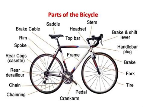 English Vocabulary: Different Parts of a Bicycle | English vocabulary ...