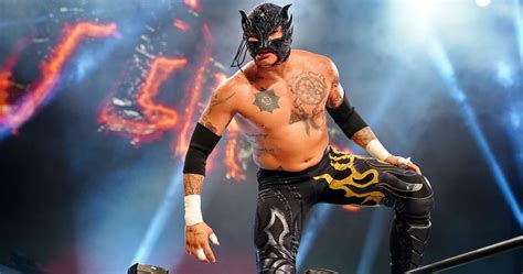 AEW Star Rey Fenix Reportedly Dealing With A Groin Injury