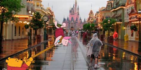 Disney World in a Hurricane - How Much Damage Has Actually Happened ...