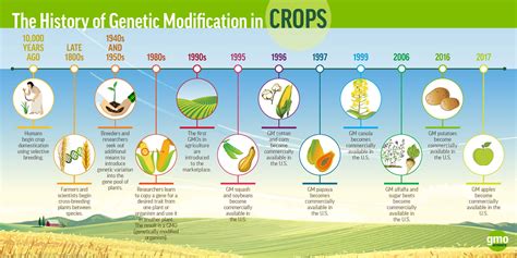 Improving quality & productivity of crops using Genetic engineering ...