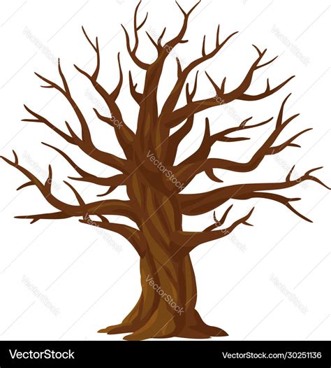 One old oak tree without leaves isolated Vector Image