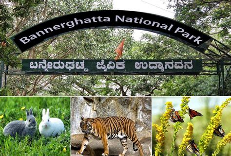 Bannerghatta National Park - Wordzz