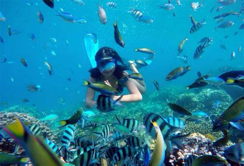 Pulau Harapan Spot Terbaik Untuk Snorkeling - Pecinta Dunia Bahari