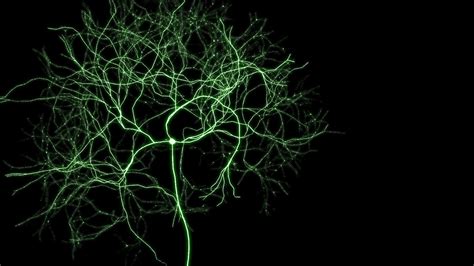 Neuron Wallpapers - Wallpaper Cave