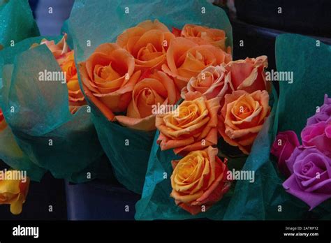 flowers in New York City's flower market Stock Photo - Alamy