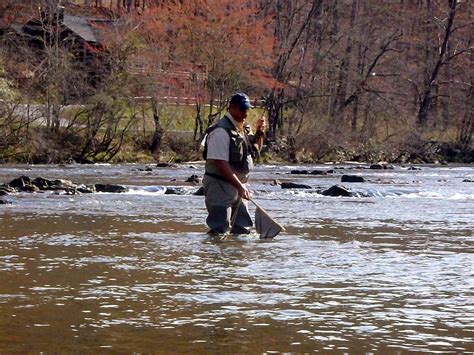 Fly Fishing in Western North Carolina | Hookers Fly Shop and Guide Service. Your Smokies Fly ...