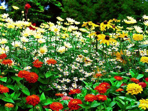 Wallpapers Dekstop 4 U: Flower Garden Wallpaper