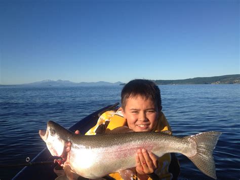 Fishing lake taupo New Zealand | Lake taupo new zealand, Taupo new zealand, Lake fishing