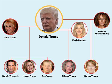 Donald Trump's family tree - Business Insider