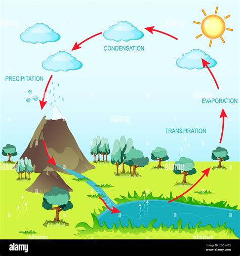 Wondering How To Make Your Drawing Water Cycle For Kids Rock? Read This ...