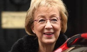 Brexit: Leadsom urges Tories not to be 'purist' about Irish backstop | Politics | The Guardian