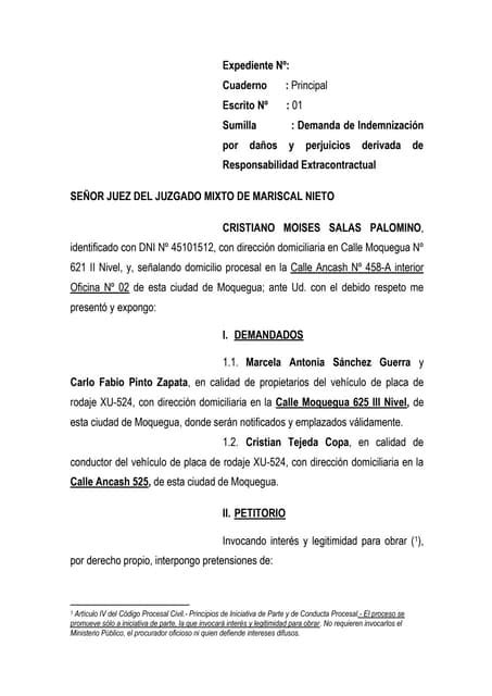 Descubrir 55+ imagen modelo de demanda de responsabilidad civil extracontractual - Abzlocal.mx