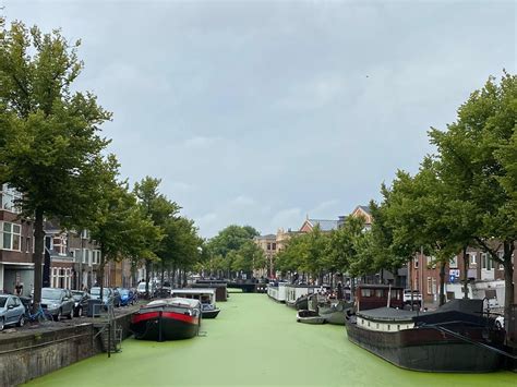 5 Surprising Facts About the Groningen Canals | Education | University of Groningen