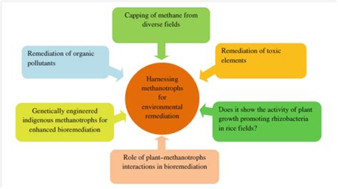 Methanotrophs: As an Environmental Remedy