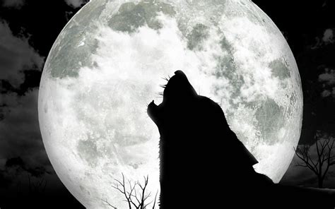 Wolf Moon Wallpapers - Top Free Wolf Moon Backgrounds - WallpaperAccess