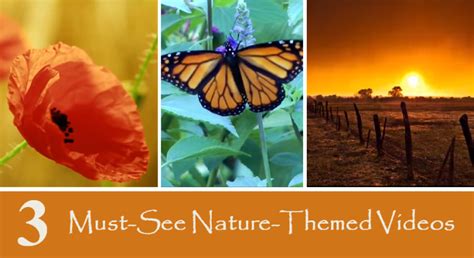 3 Must-See Nature-Themed Time Lapse Videos - Redeem Your Ground