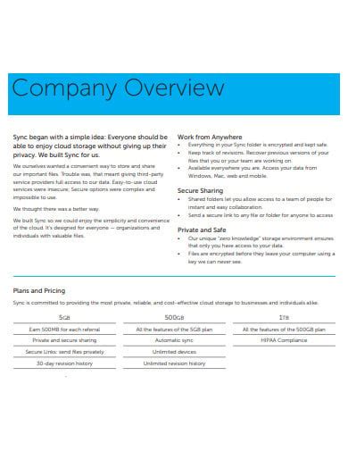 FREE 11+ Company Overview Templates in PDF | MS Word | Blog Hồng