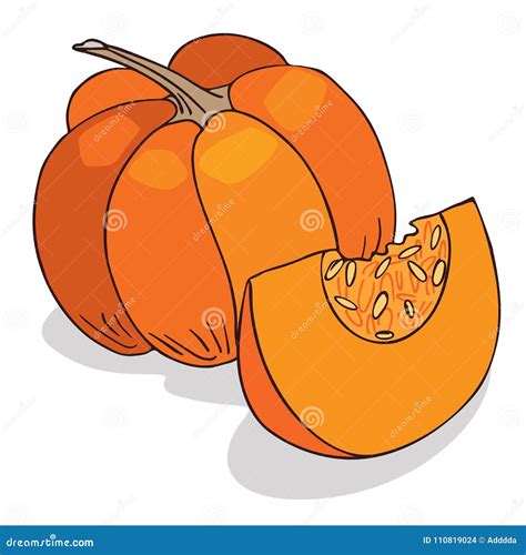 Isolate Ripe Squash or Pumpkin Stock Vector - Illustration of food, full: 110819024