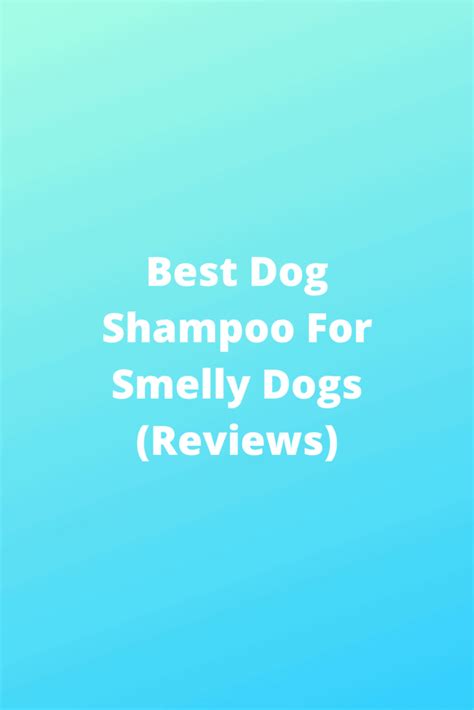 Best Dog Shampoo For Smelly Dogs (Reviews) - Pets Care Tips