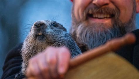 The History and Traditions of Groundhog Day | Explore History, iNostalgia